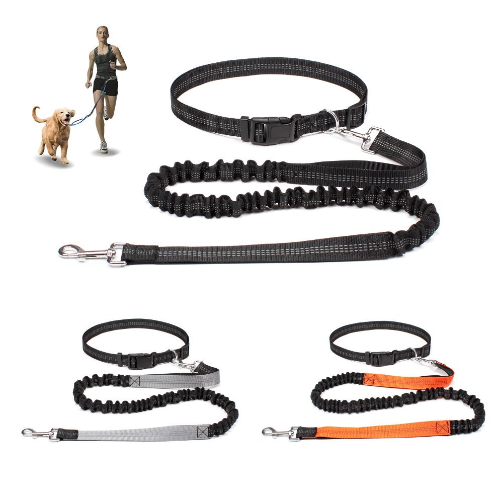 Running Gear Holder - Handfreie Hundeleine zum Gassi gehen, Laufen,