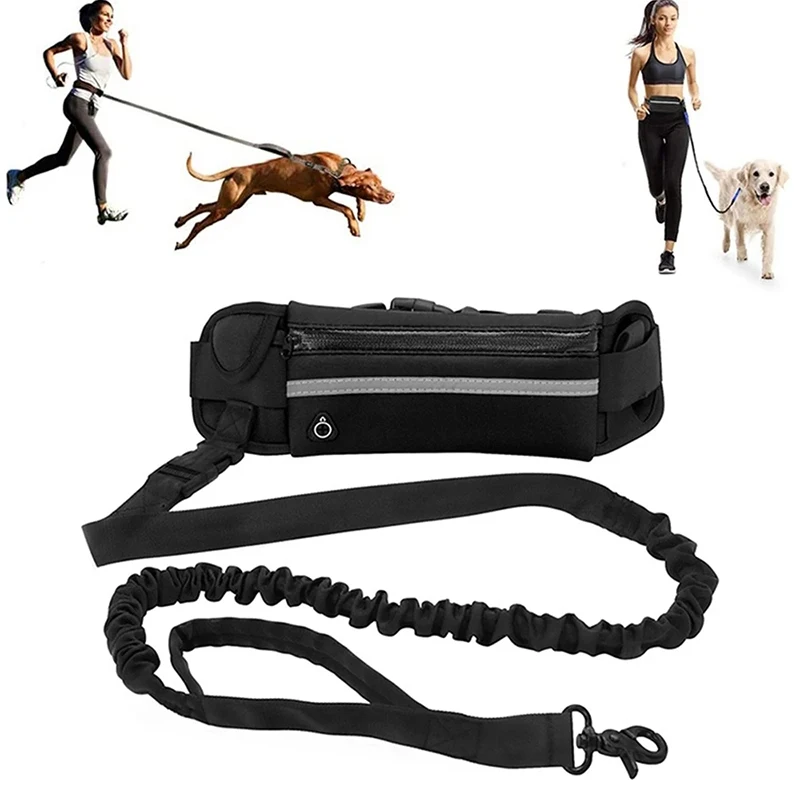 Freihändige Hundeleine zum Lau – Running Gear Holder Bewertung und Preis
