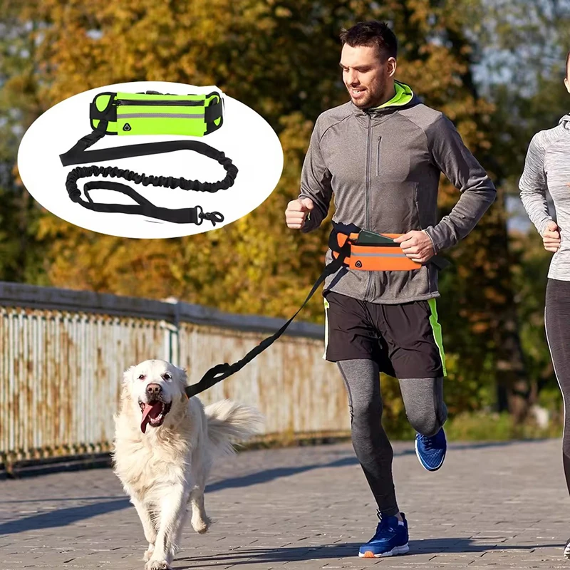 Freihändige Hundeleine zum Lau – Running Gear Holder Bewertung und Preis