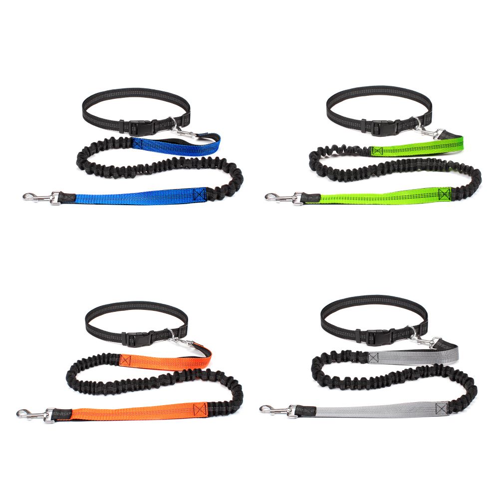 Handfreie Hundeleine zum Gassi – Running Gear Holder Bewertung und Preis